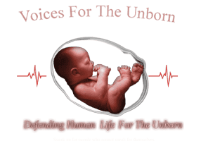 Voices for the Unborn Logo