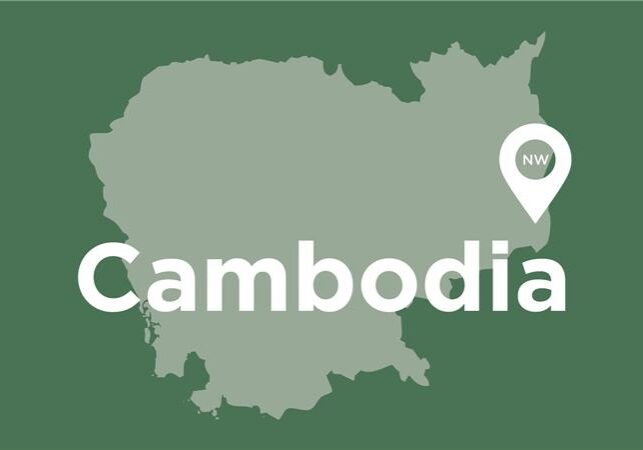 Cambodia | August 2024 Thumbnail