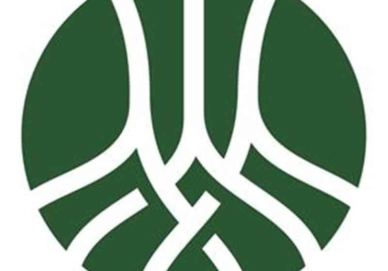 Fall 2026 Rooted Pre-Registration Thumbnail