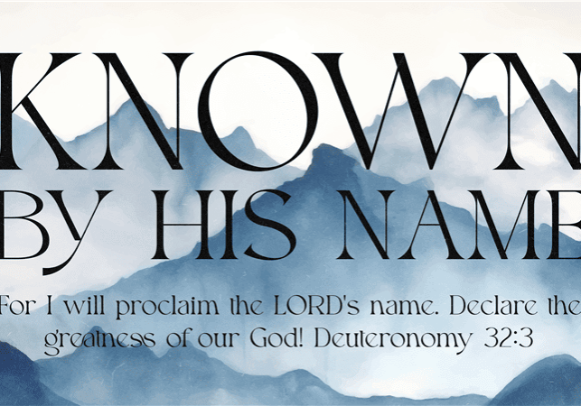 Senior Ministry (60+) Luncheon Thumbnail