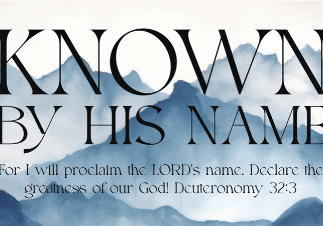 Senior Ministry (60+) Luncheon Thumbnail